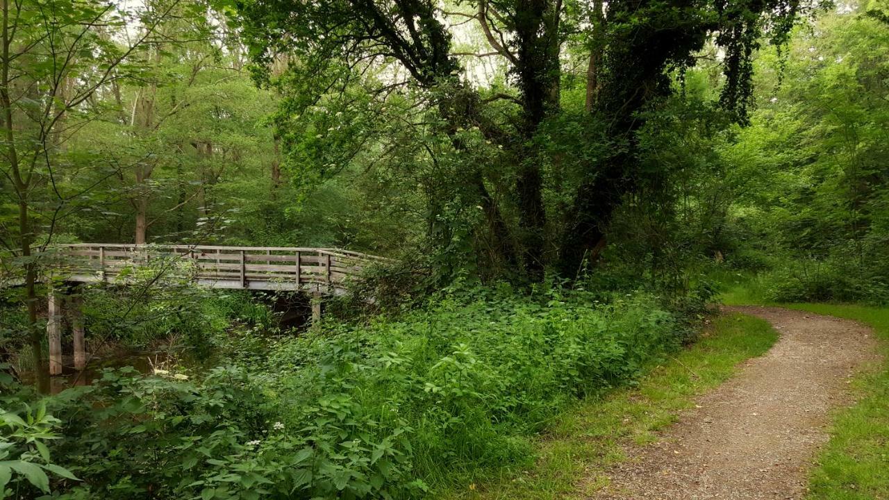 Fewo Grafschaft Nordhorn Exterior foto