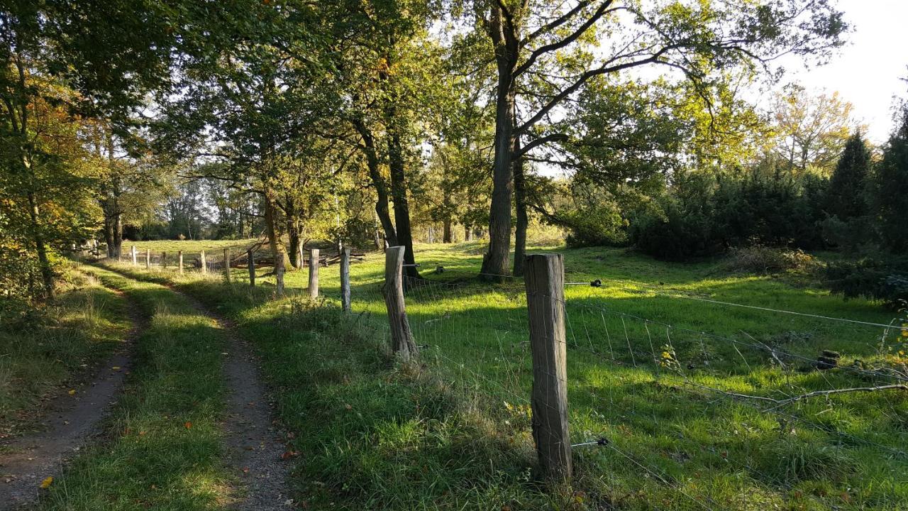Fewo Grafschaft Nordhorn Exterior foto